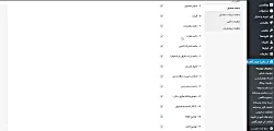 آموزش بخش تنظیمات پوسته - صفحه محصول اپلیکیشن فروشگاهی وردپرس اپ پاش