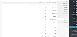 آموزش بخش تنظیمات پوسته - صفحه جزئیات سفارش اپلیکیشن فروشگاهی وردپرس اپ پاش